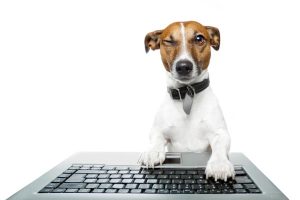 Mehr über den Artikel erfahren Verhaltensregeln in E-Mails